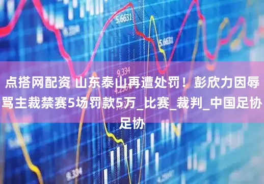 点搭网配资 山东泰山再遭处罚！彭欣力因辱骂主裁禁赛5场罚款5万_比赛_裁判_中国足协