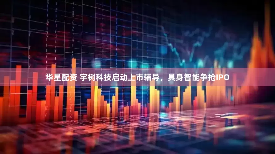 华星配资 宇树科技启动上市辅导，具身智能争抢IPO