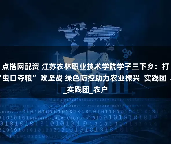 点搭网配资 江苏农林职业技术学院学子三下乡：打好 “虫口夺粮” 攻坚战 绿色防控助力农业振兴_实践团_农户