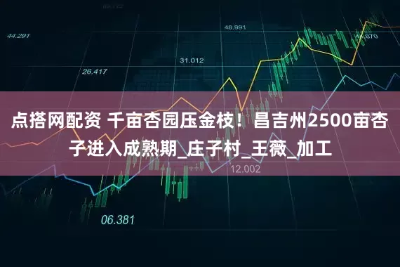点搭网配资 千亩杏园压金枝！昌吉州2500亩杏子进入成熟期_庄子村_王薇_加工